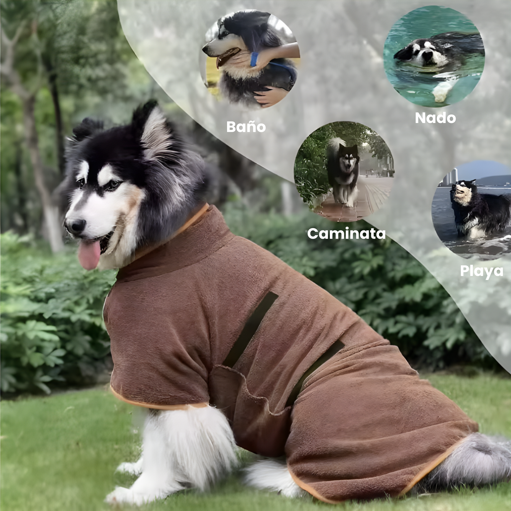 Bata Absorvente Para Perros